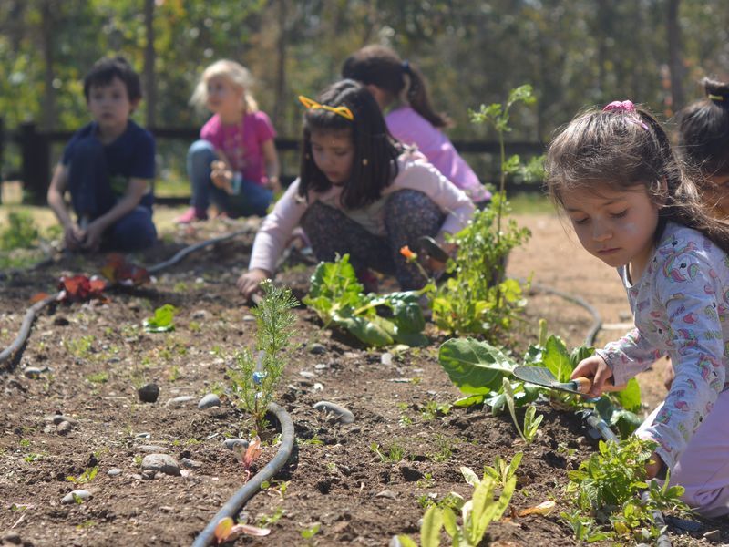 Early Years · MyWay — niños del Colegio Humboldt sembrando en el huerto