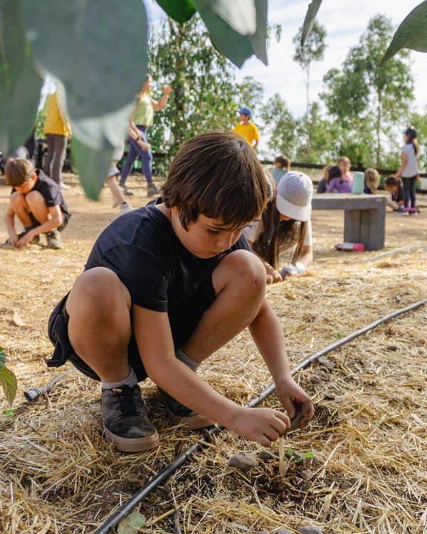 Aprendiz del Colegio Humboldt plantando en el huerto